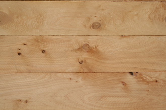 Macrocarpa Sleeper 6.0m